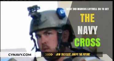 Marcus Luttrell's Heroic Actions: Earning the Navy Cross in Combat