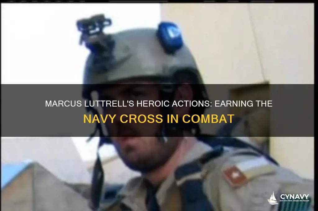 what did marcus luttrell do to get the navy cross