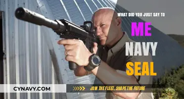 Decoding the Navy SEAL Mantra: What Did You Just Say to Me?