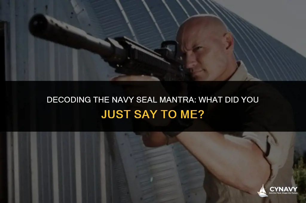 what did you just say to me navy seal