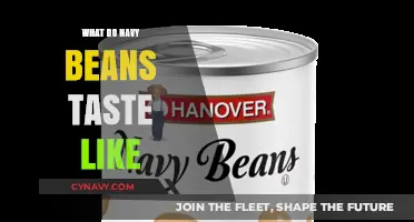 Exploring the Flavor Profile of Navy Beans: A Culinary Journey