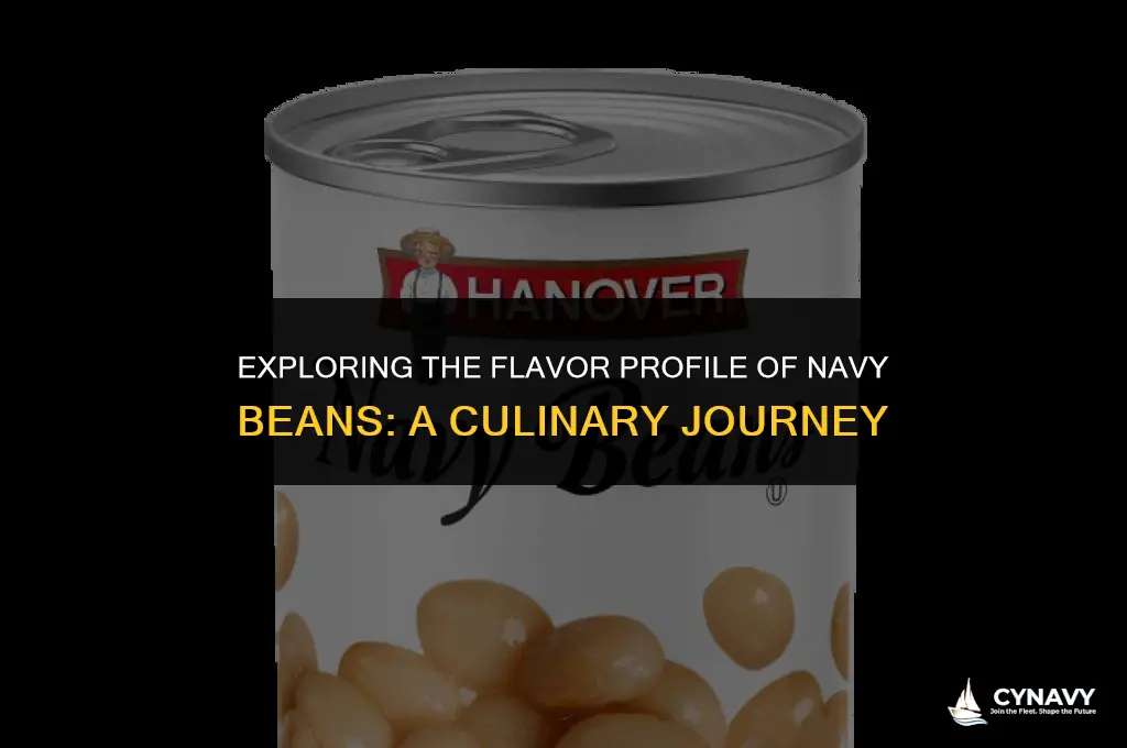 what do navy beans taste like