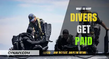 Navy Diver Salaries: Uncovering Compensation for Underwater Military Service