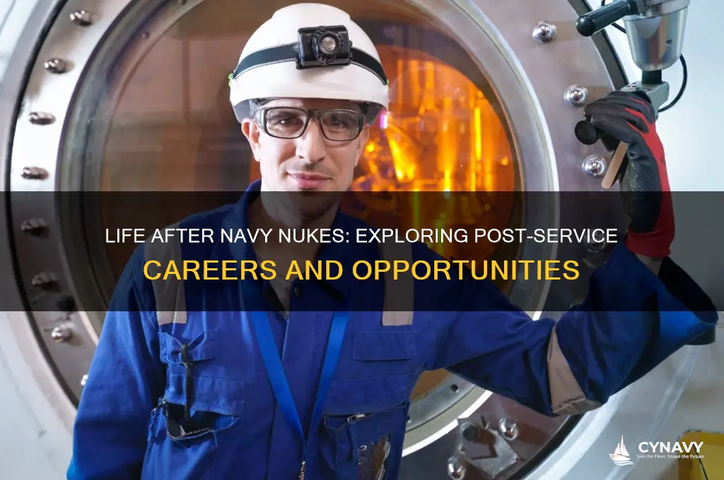 what do navy nukes do when they get out