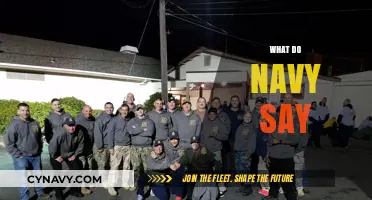Decoding the Jargon: What Do Navy Personnel Really Say?