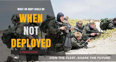 Behind the Scenes: Navy SEALs' Off-Deployment Endeavors Unveiled