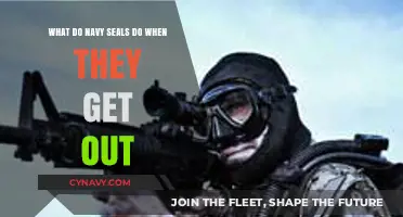 Life After Service: Navy SEALs' Post-Military Careers and Transitions