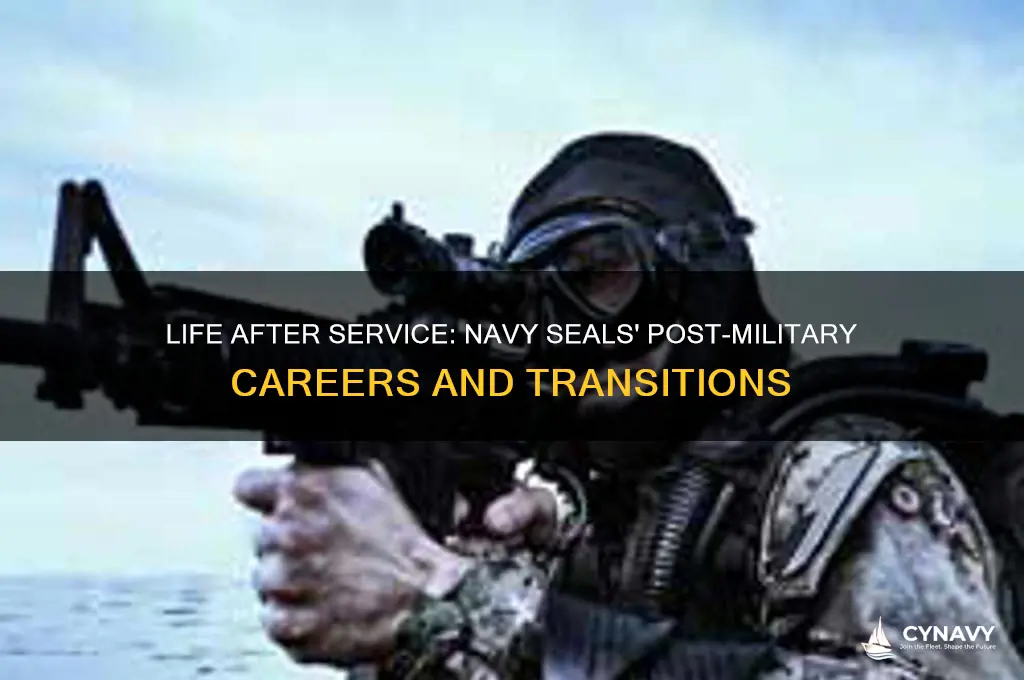 what do navy seals do when they get out