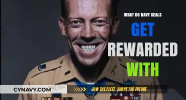 Honoring Navy SEALs: Rewards, Recognition, and Prestigious Military Honors Explained