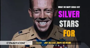 Navy SEALs' Silver Star Valor: Extraordinary Bravery in Combat Explained