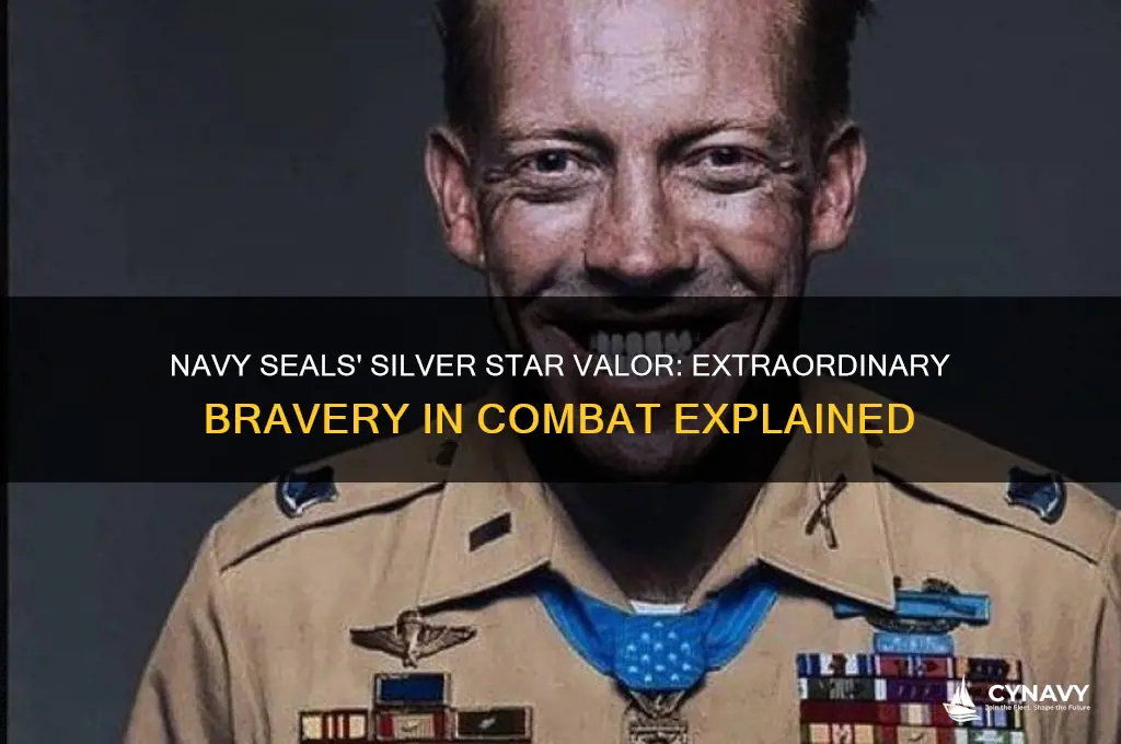 what do navy seals get silver stars for