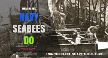 Building Foundations: The Diverse Roles of Navy Seabees
