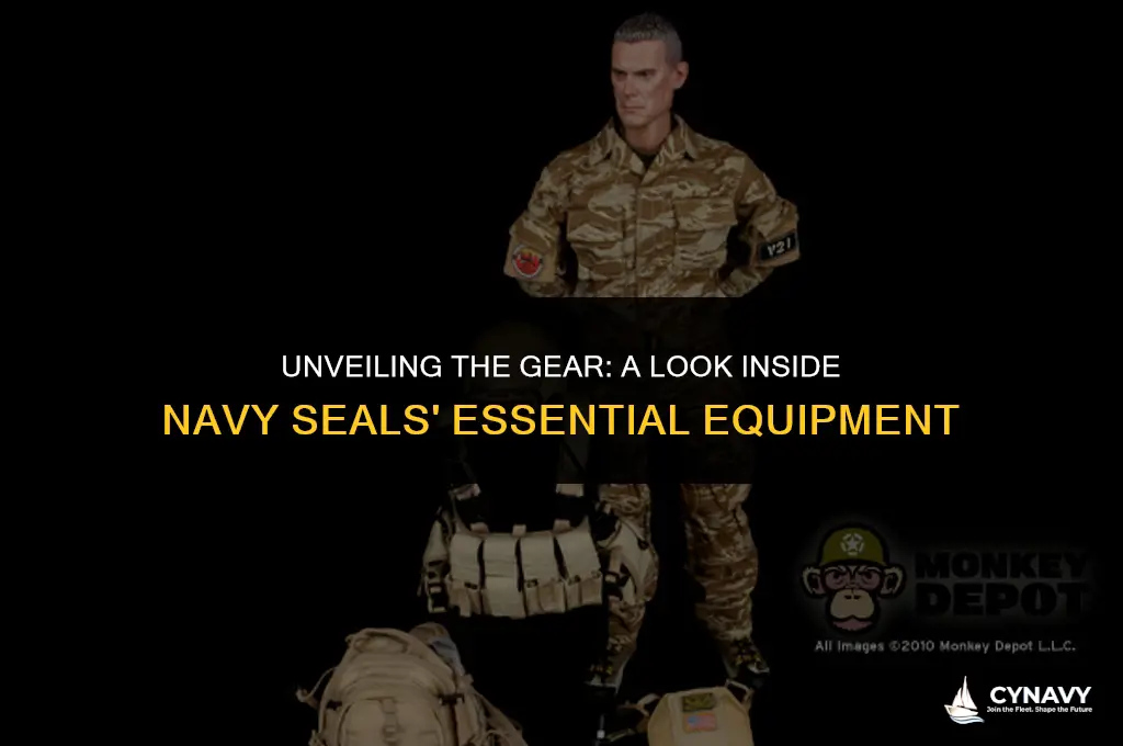 what do the navy seals wear