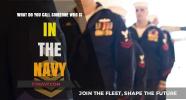 Understanding Naval Titles: What to Call Navy Personnel