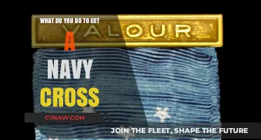 Earning the Navy Cross: Extraordinary Valor and Heroic Actions Explained