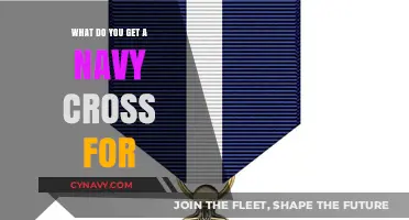 Understanding the Navy Cross: Extraordinary Valor and Heroic Service Explained