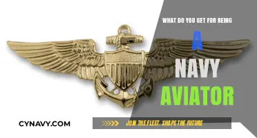 Navy Aviator Perks: Benefits, Challenges, and Rewards of Flight Service