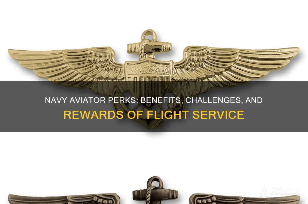 what do you get for being a navy aviator