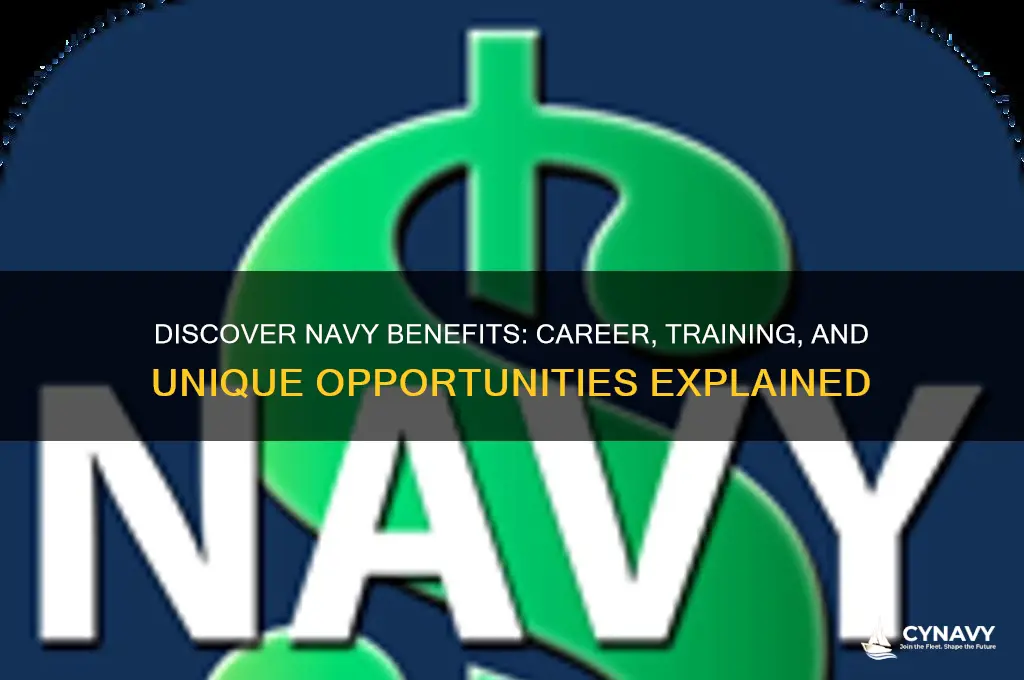 what do you get in the navy