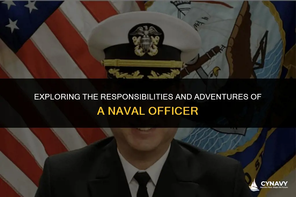 what does a naval officer do