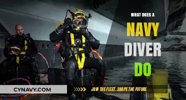 Exploring the Depths: A Day in the Life of a Navy Diver