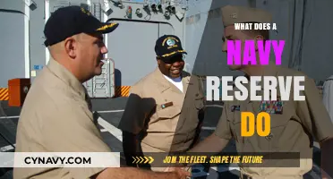 Exploring the Vital Role of the Navy Reserve: A Comprehensive Guide