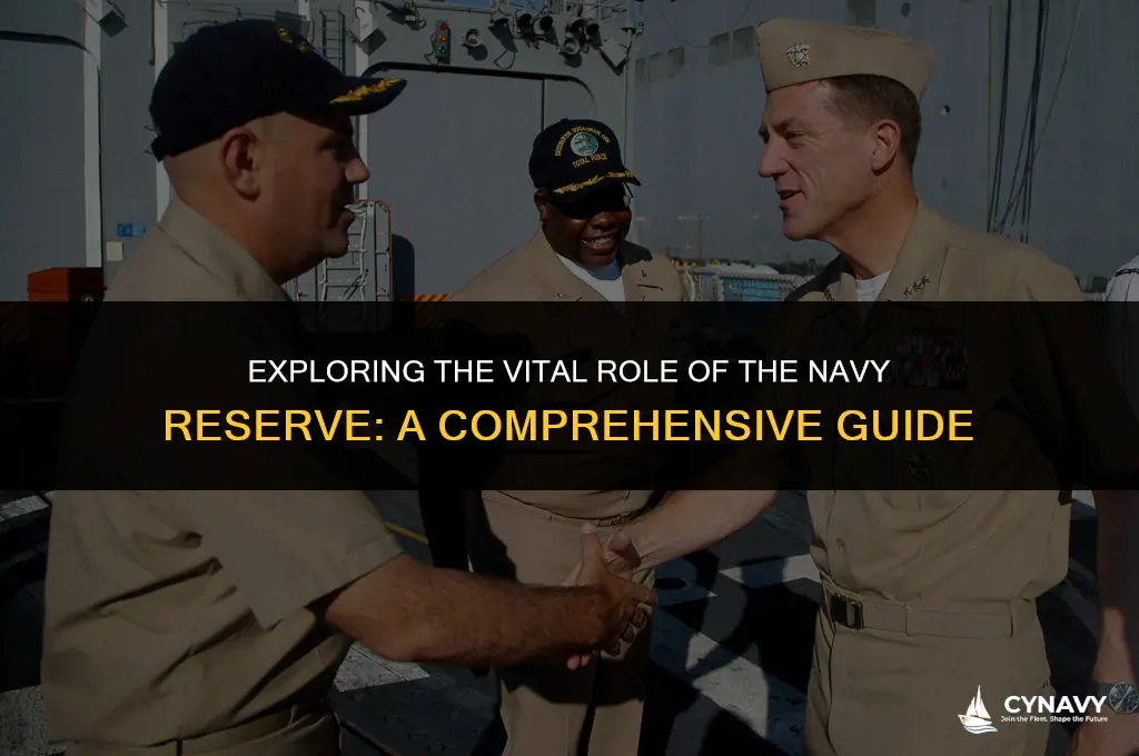 what does a navy reserve do