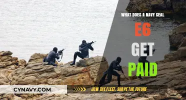 Navy SEAL E6 Salary: Understanding Compensation for Special Warfare Petty Officers
