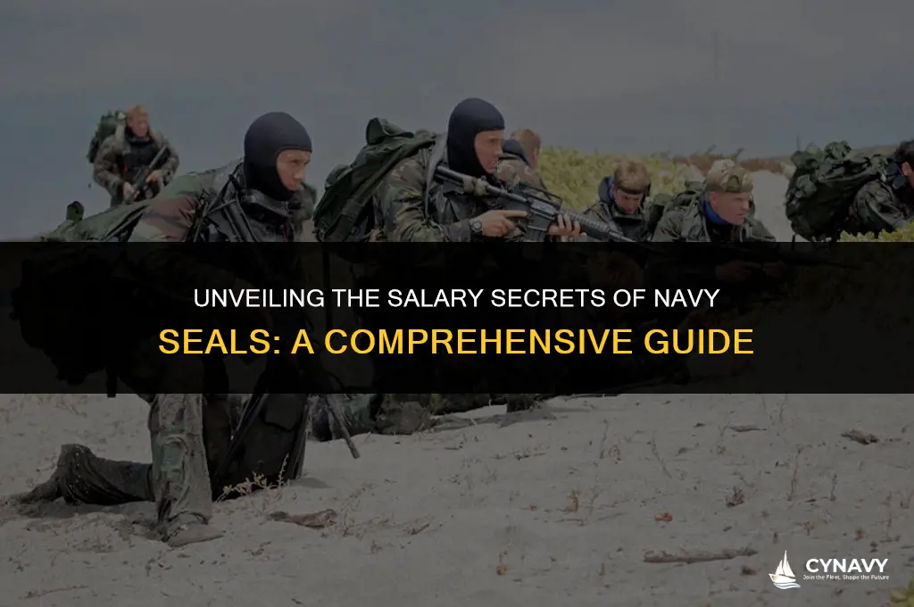 what does a navy seal earn