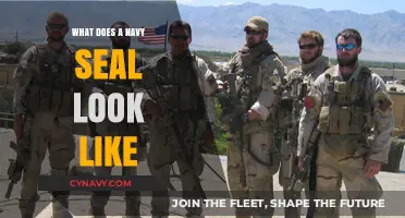 Unveiling the Elite: A Glimpse into the Appearance of Navy SEALs