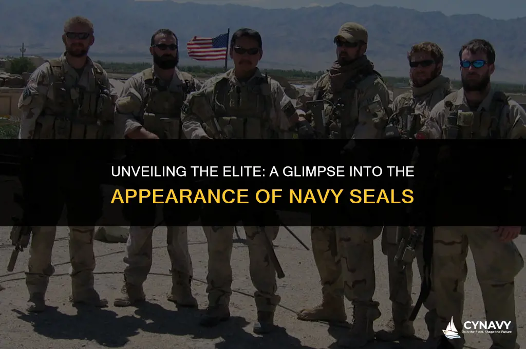 what does a navy seal look like