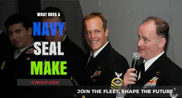 Unveiling the Salary Secrets of Navy SEALs: What They Earn and Why