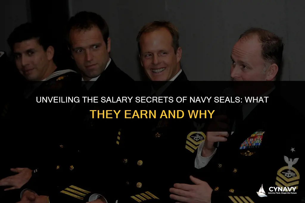 what does a navy seal make