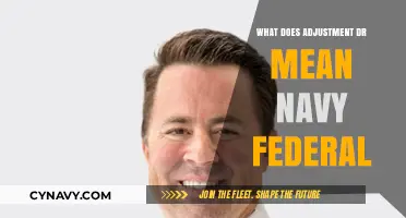 Decoding Adjustment DR: A Navy Federal Financial Guide