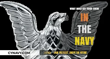 Understanding the Navy's 'Get Your Crow' Tradition: Origins and Meaning