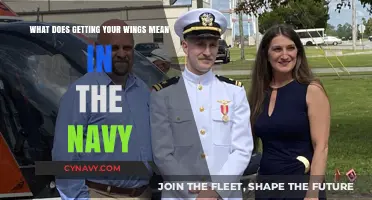 Earning Your Wings: Understanding Naval Aviation's Prestigious Milestone and Meaning