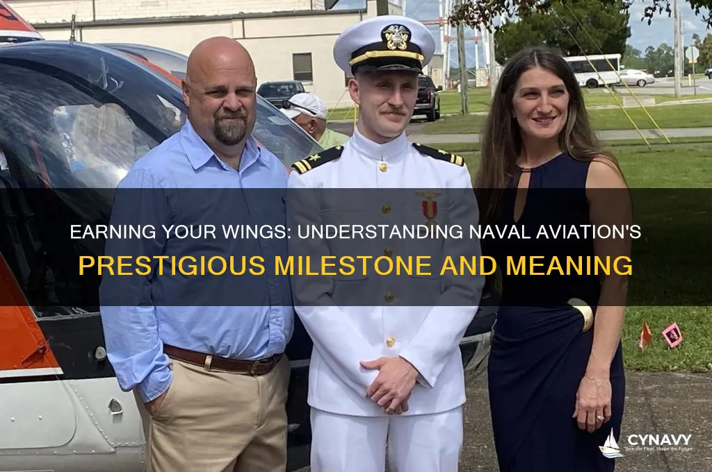what does getting your wings mean in the navy