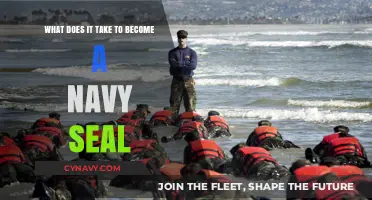 Unveiling the Path to Becoming an Elite Navy SEAL