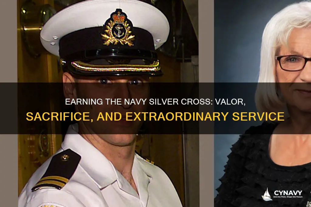 what does it take to get the navy silver cross