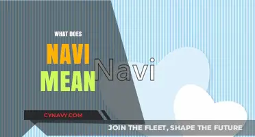 Unveiling the Meaning of Navi: A Comprehensive Guide