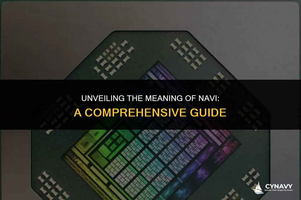 what does navi mean