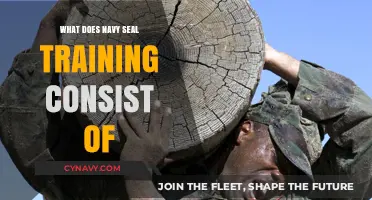 Unveiling the Rigors: A Deep Dive into Navy SEAL Training