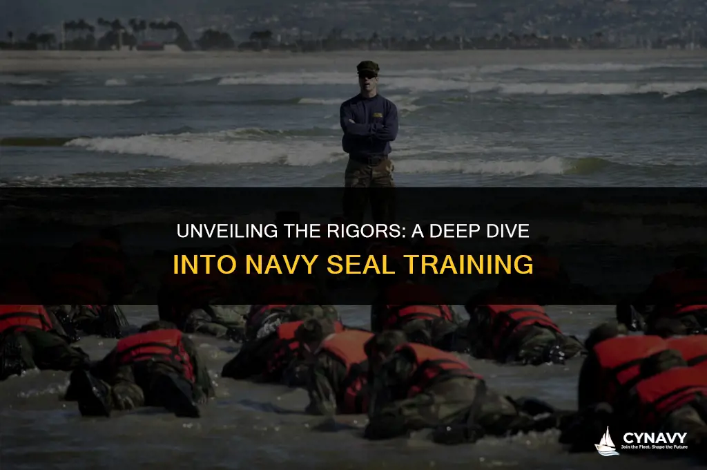 what does navy seal training consist of