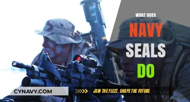Exploring the Elite: A Deep Dive into Navy SEAL Operations