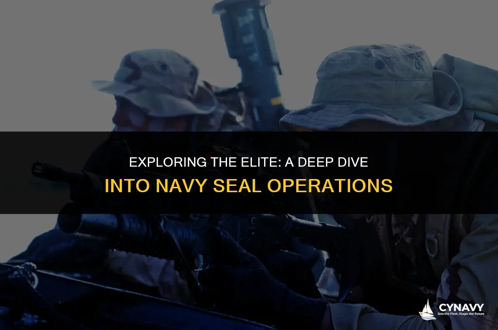 what does navy seals do