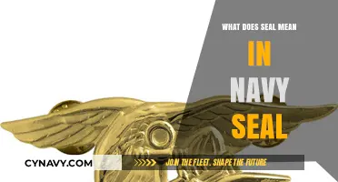 Unveiling the Valor: Understanding the SEAL in Navy SEAL