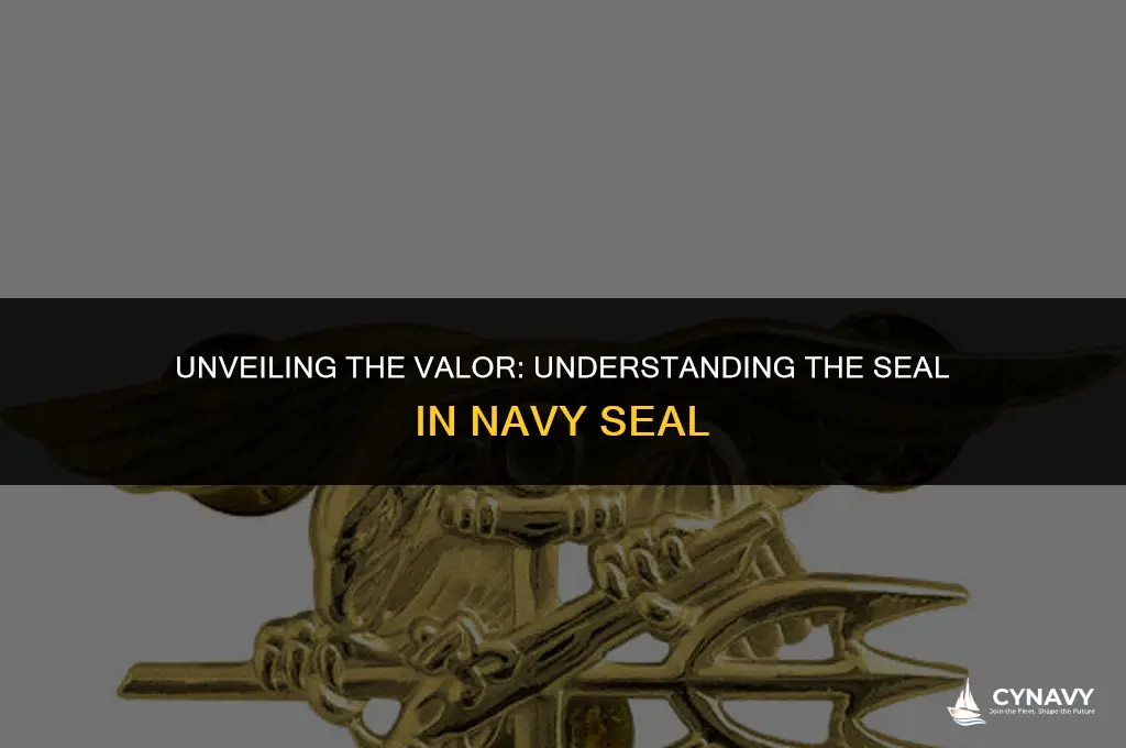 what does seal mean in navy seal