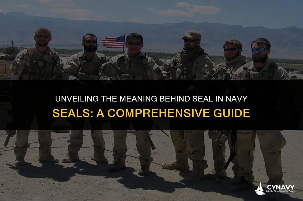 what does seal stand for in navy seals