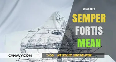 Understanding Semper Fortis: A Guide to Its Meaning and Usage