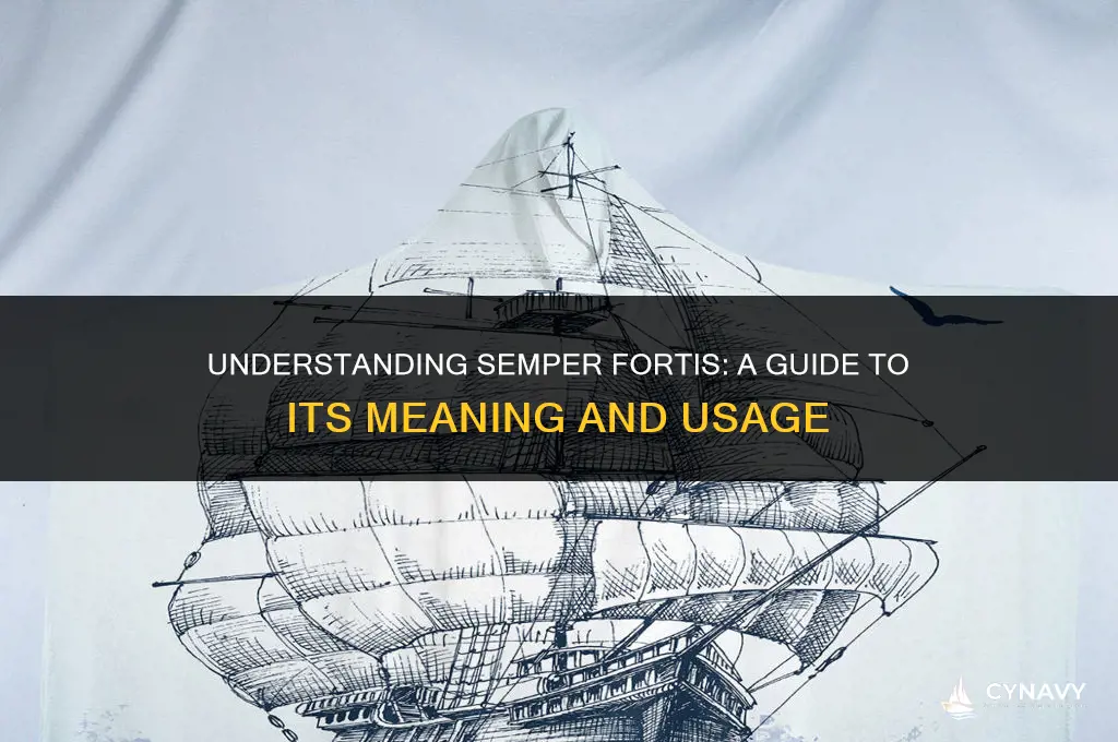 what does semper fortis mean